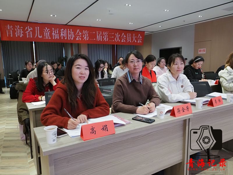 依法治理 多元合作 努力开创协会发展新局面——青海省儿童福利协会第二届第三次会员大会顺利召开