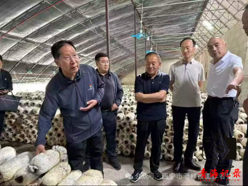 西宁市老科技工作者协会荣获多项科技志愿服务先进典型称号