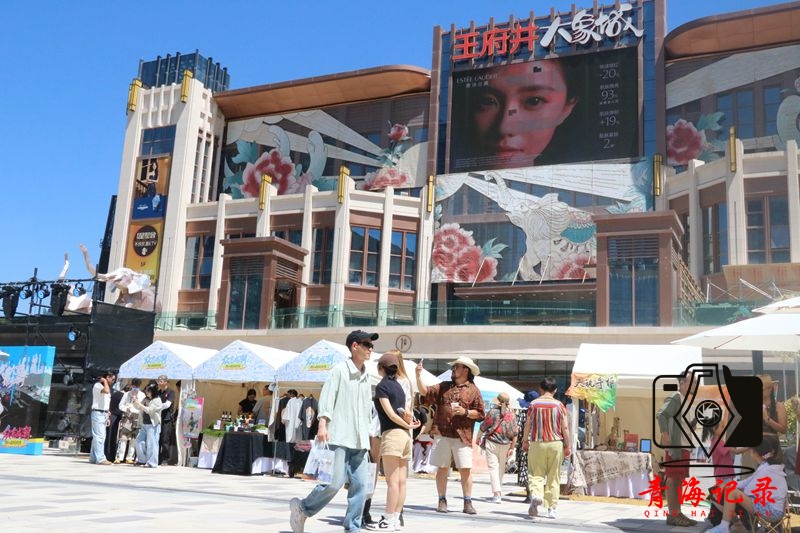 送良种送技术送思路——西宁市老科协专家团赴大通韩家山村助力十五五农业现代化